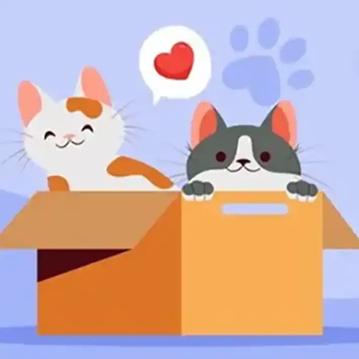 consulenza per e post adozione