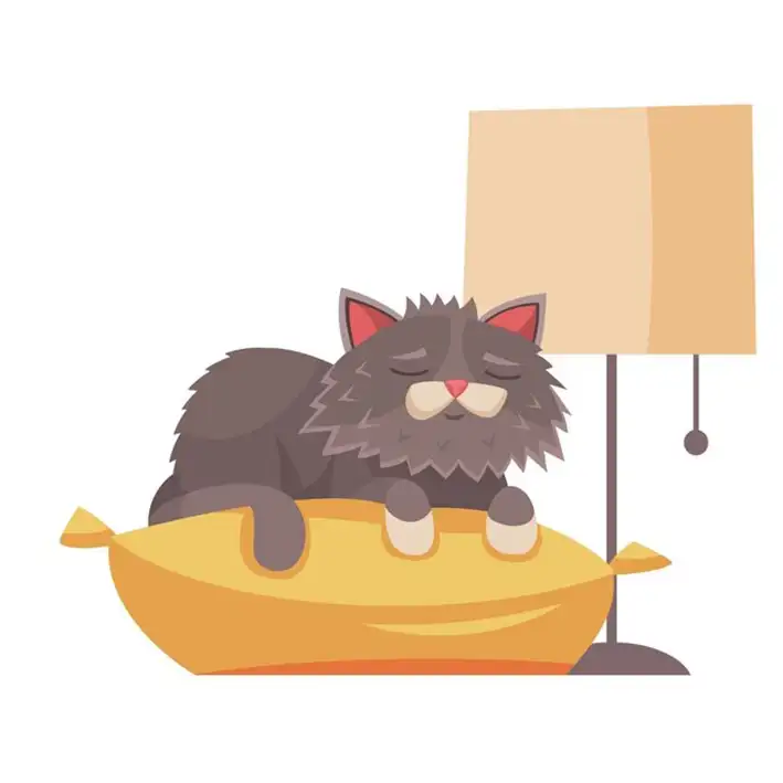 Bisogni gatto anziano