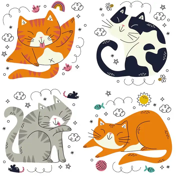 Gatto miglioramento vita