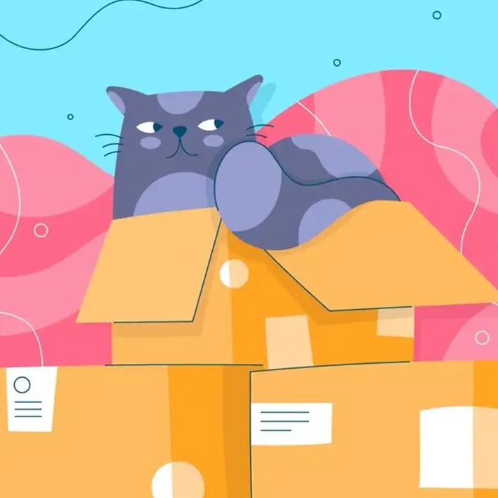 Gatto e trasloco