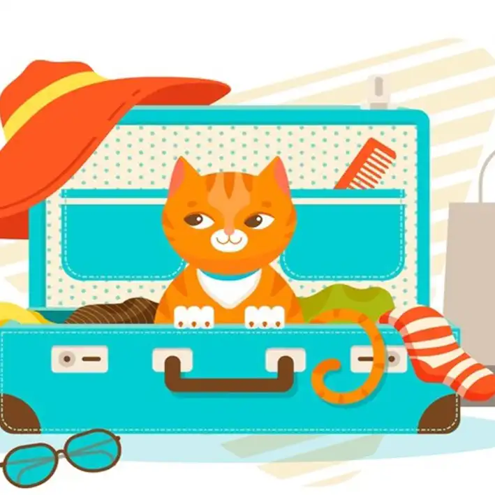 Gatto e vacanze