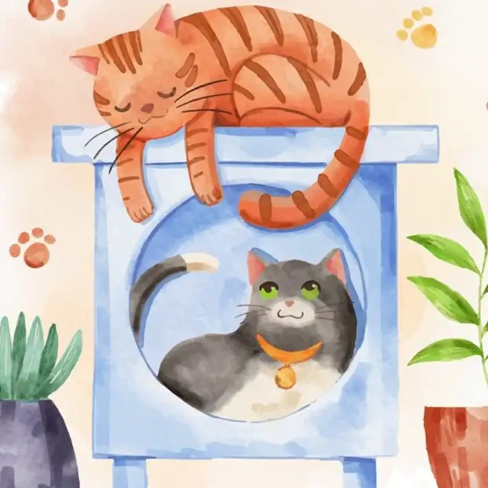 Inserimento gatto casa animali